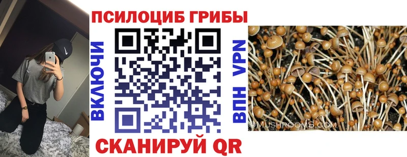 даркнет сайт  МЕГА ССЫЛКА  Галлюциногенные грибы прущие грибы  Усинск 